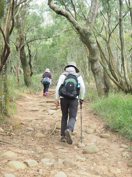《苗栗》心靈之旅｜火炎山步道O繞南鞍古道201804212890654
