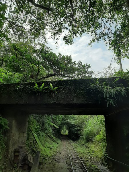 小百岳寶石〡No.10 五分山968804