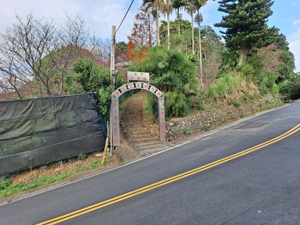 20240201故宮-狗殷勤古道-平菁街賞櫻-溪山百年水圳步道-平菁步道2458467