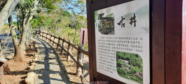 《台中》短暫暖陽｜龍井竹坑南寮步道O繞202601042976440