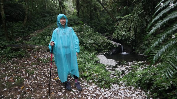 雙石縱走登山健行趣(小百岳24號&25號)2169516