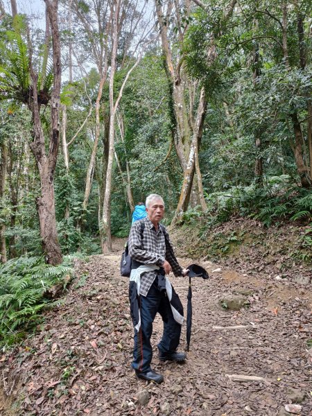 四訪苗栗的花果山-小百岳#037馬那邦山、雪霸國家公園管理處【小百岳集起來、苗栗-臺灣百大必訪步道】2394240