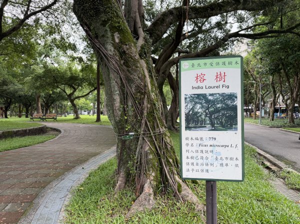 [2026臺北健走趣-06/50] 2026_0712_青年公園3098524