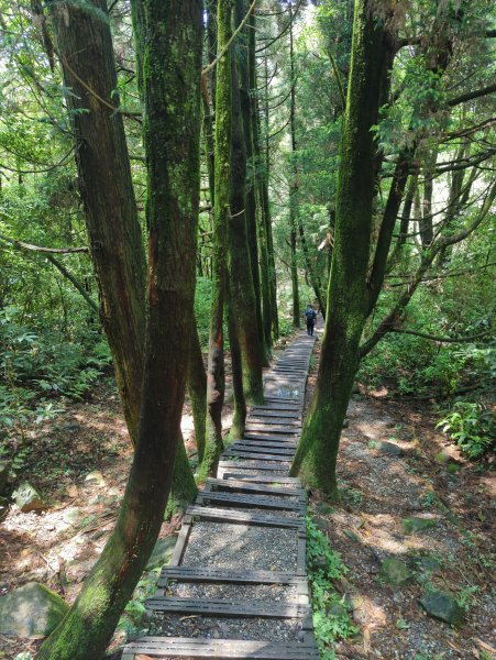 2025.04.27－金包里大路~小油坑縱走2770944