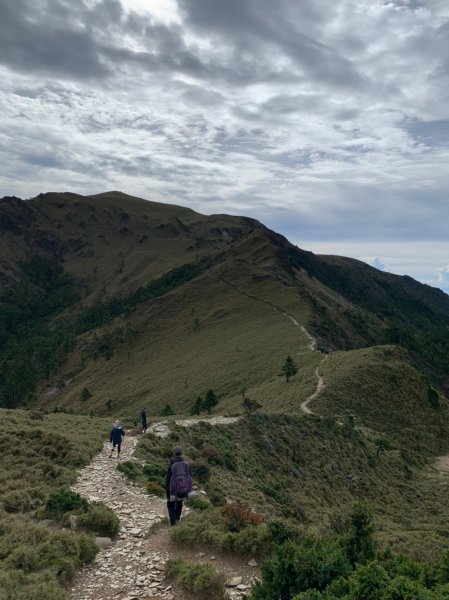 20220625台東海端向陽山、向陽山北峰、三叉山、嘉明湖1745554