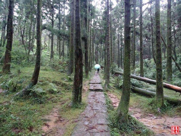 【台北市】頂山石梯嶺步道風雨行