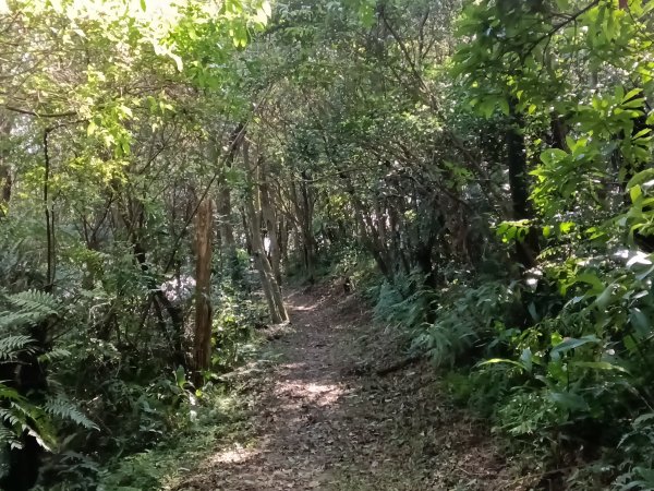 基隆市/萬里區界寮縱走之三界山+三界山西峰+開眼尖山+七分寮山+瑪七產道山泉水接水亭2979607