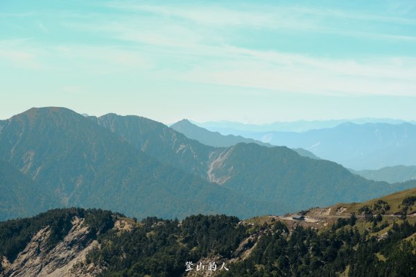 花季限定的景色3063152