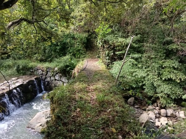 雙溪區中坑古道+大夯瀑布+中坑東山+中坑東山尾稜O型2921503