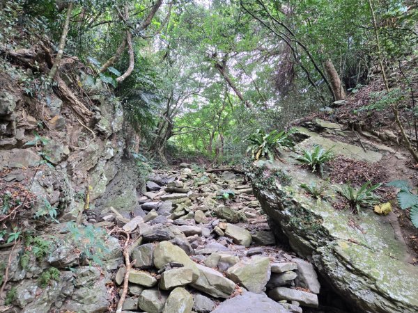 女仍山（小百岳）2752505