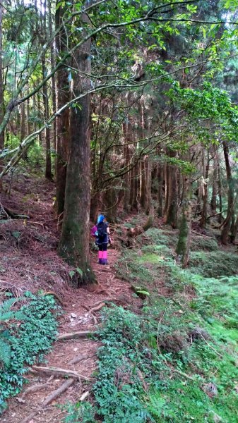 特富野、兒玉山、東水山、北霞山、一次滿足1005777