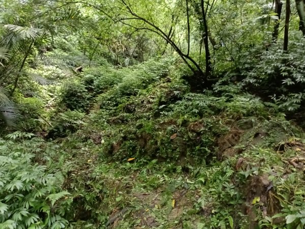 平溪區三功大厝+番子坑山+千階嶺步道O型2781126