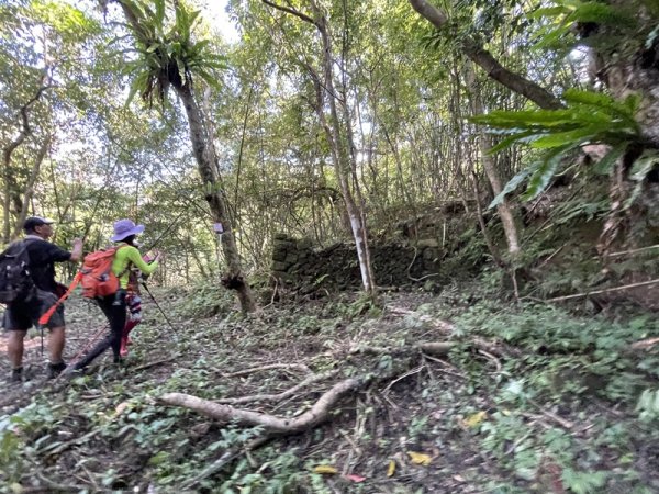 中坑古道西線(張家古厝)2899249