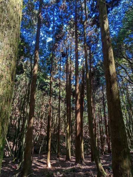 哈堪尼山、加里山東南峰連走2028788