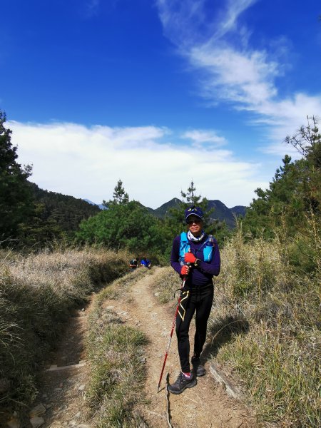 一日大霸群峰之高山杜鵑看好看滿 ( 大霸尖山、小霸尖山、伊澤山、加利山 )- 2021/5/21374761