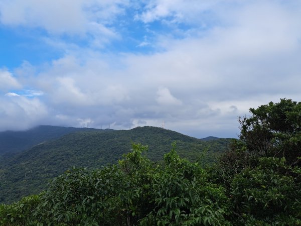 小百岳集起來大崙頭尾山親山步道3127367