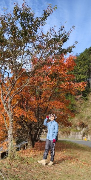 麟趾山、鹿林山、鹿林前山三山縱走(塔塔加三山)2990475