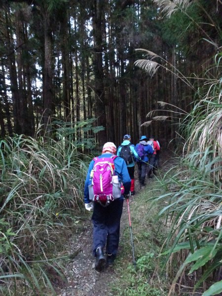 2022年02月13日(彰山協)南投日月潭四兄妹之中級山~大尖山縱走水社大山1613335