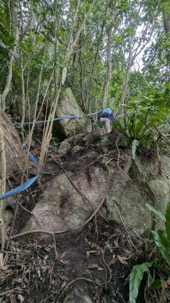 113.12.28小鷹尖-關山嶺-五八山-凌雲尖-龍女岩之旅2679371