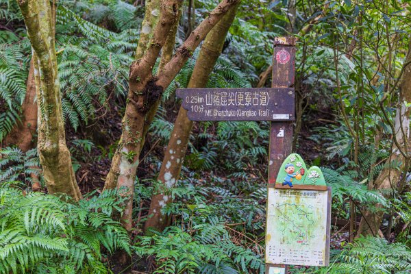 [新北]土庫岳更寮古道2575843