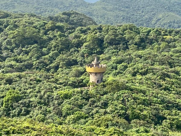 老鷹岩賞鷹趣1322474