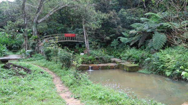 環O繞走林口頂福巖林口森林步道一圈