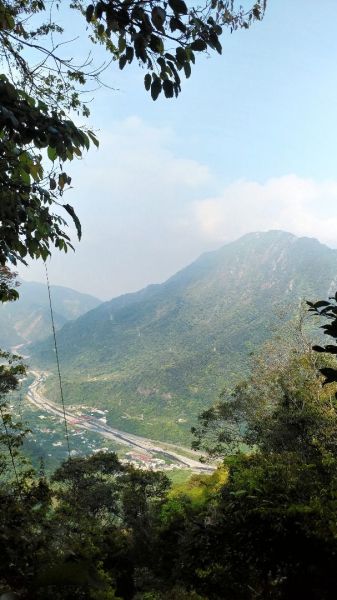 谷關七雄之首➡️八仙山(松鶴上八仙山)302197