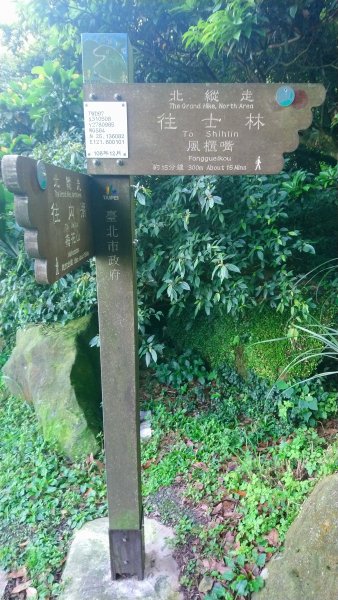 陽明山東西大縱走(東線)965648