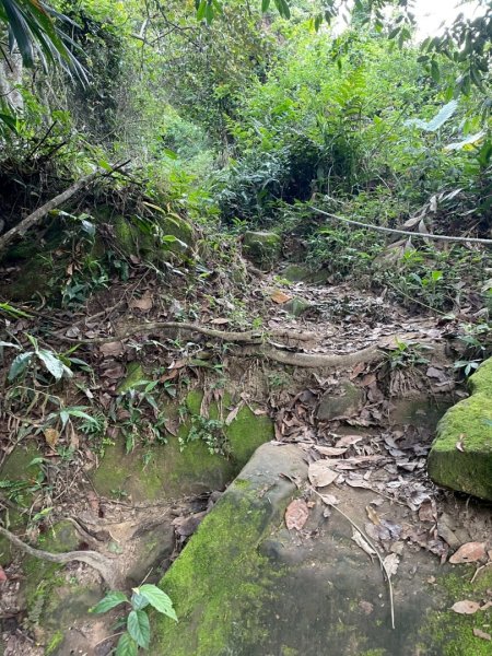 暗影山_2025/05/042782331