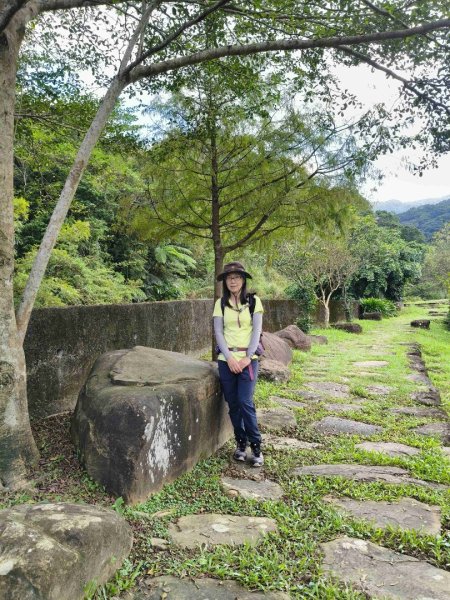草嶺古道2025 芒花季2932016