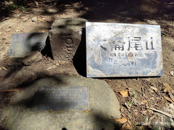 翠山步道、大崙頭尾山親山步道【臺北健走趣】2874313