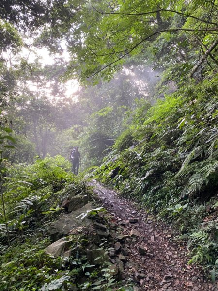 志佳陽大山1007022