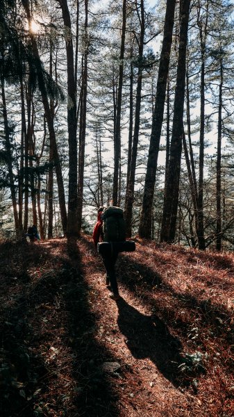 屏風山3111093
