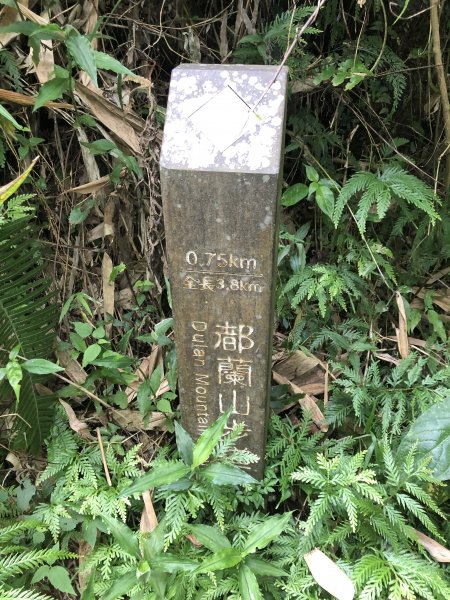 台灣小百岳No.093都蘭山1041114