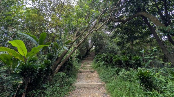 南勢角山步道3122093