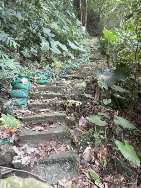 20251025南化龍湖寺至紫竹寺O繞(石松子山.大竹崙山.竹子尖山)2925084