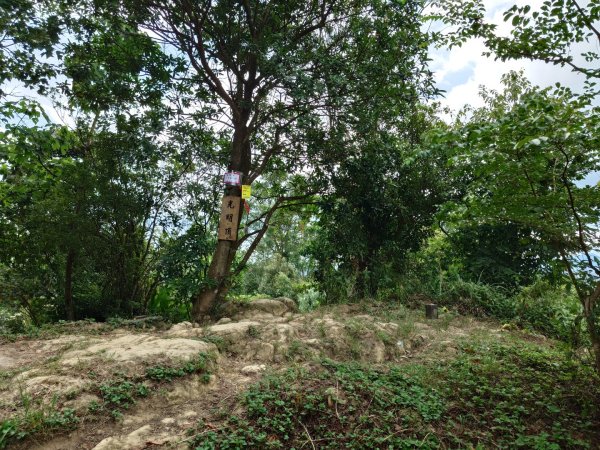 微笑山線之烘爐地任務2836465