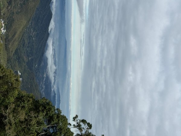 1150301溪頭天文台步道3008362
