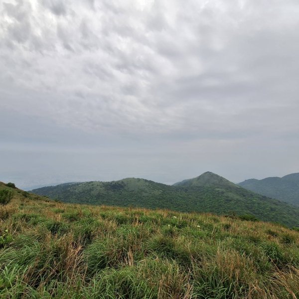 2025臺北大縱走-小油坑到二子坪-第二段完成!2781348