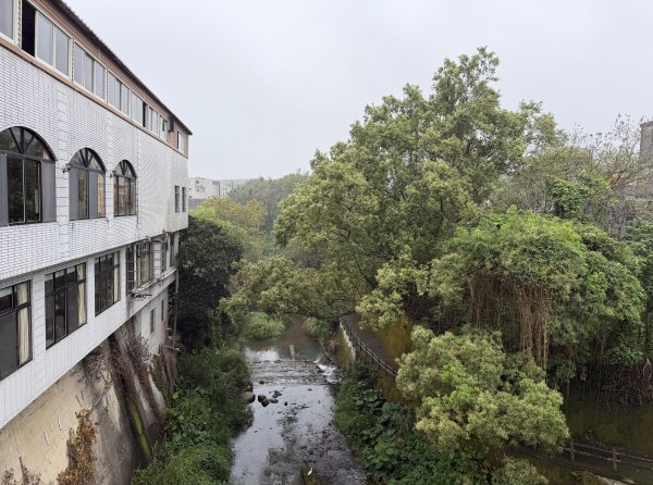 [樟之細路_第一大段RSA01] 2026_0329 清水坑溪景觀3026588