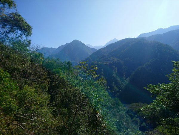 屋我尾山(麗陽線)821156