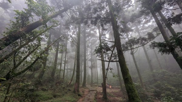 112.06.03風櫃嘴-頂山-石梯嶺-擎天崗東峰-頂山西南峰2172382