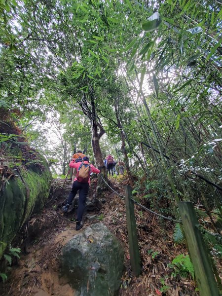 小百岳-馬那邦山1082597