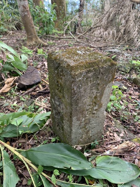 20250120高雄三縣界山-河表湖山-拉比嶺山-玉打山2697472