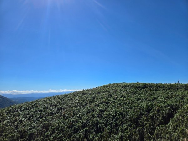 大屯主峰-連峰步道環形（小百岳）2904328