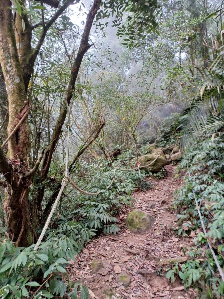 【台南白河】雞籠山+九龍山+大凍山O繞縱走2797145