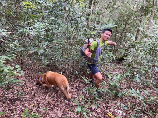 南東眼山.夢谷瀑布【好像是中級山探勘路線的荒山野嶺】2630633