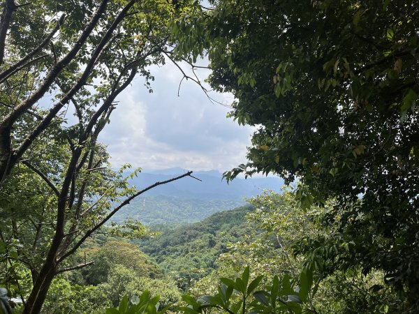 [皮皮獅Hike客任務-02/10] 2024_0720 渡南古道+飛鳳古道2557098