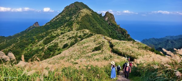 #半屏山 #芒花 11/262946033