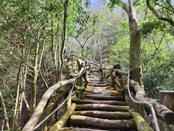 20230416大坑步道2~5+石苓湖山2175629